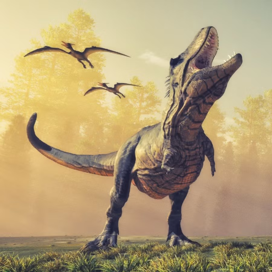 Tuy nhiên, vị trí của loài khủng long này trên cây tiến hóa rất quan trọng. Ảnh: Shutterstock.