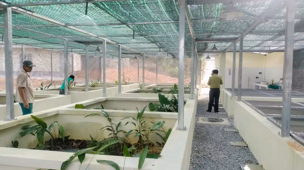 Trung tâm Cứu hộ, Bảo tồn và Phát triển sinh vật thuộc Vườn quốc gia Bạch Mã (TP ) được thành lập năm 2015. Đây là nơi tiếp nhận, chăm sóc và nhân giống nhiều loài động, thực vật quý hiếm.