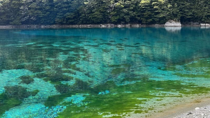 Hồ Rotomairewhenua cũng trở thành địa điểm lý tưởng đối với những người thích đi bộ đường dài. Ảnh: 1News.