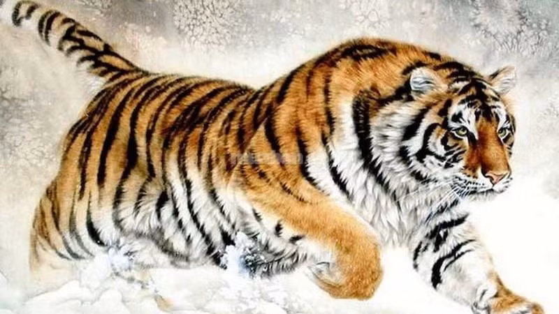 Vận thế ngày 12/3/2026 của người tuổi Dần tình cờ. Tình cảm: Tuổi Dần có thể tình cờ gặp được người quen cũ, nhiều kỷ niệm hạnh phúc ùa về. Công việc: Con giáp này dùng cách đơn giản để giải quyết vấn đề tưởng chừng phức tạp. Tiền bạc: Người tuổi Dần có cuộc sống thoải mái nhờ biết cách quản lý tài chính.