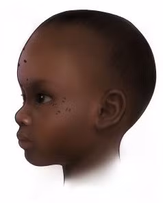 Việc tìm thấy những hình xăm trên cơ thể của trẻ nhỏ, đặc biệt là trẻ dưới 3 tuổi đã làm dấy lên nhiều câu hỏi về mục đích người xưa làm như vậy với những đứa bé đó. Ảnh: Mary Nguyen/©2025 UMSL.