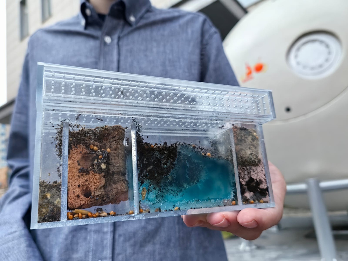 Kết quả thử nghiệm dự kiến công bố cuối năm 2025, giúp xác định khả năng bảo vệ sức khỏe phi hành gia và trồng trọt trong môi trường không trọng lực. Ảnh: IMBP RAS/Olek Voloshin/MK.