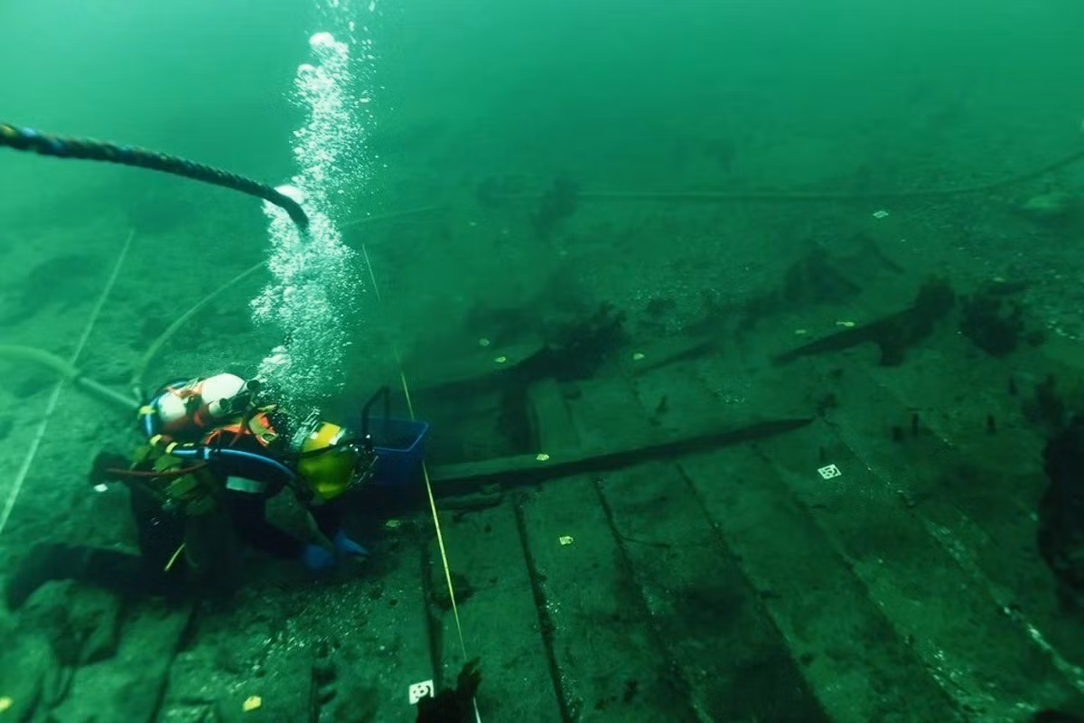 Phát hiện trên cho thấy gỗ được xuất khẩu từ Pomerania đến Hà Lan. Tại đây, con tàu được đóng. Hà Lan nổi tiếng là nơi có chuyên môn cao để chế tạo những con tàu lớn như tàu Svaelget 2. Ảnh: Viking Ship Museum.