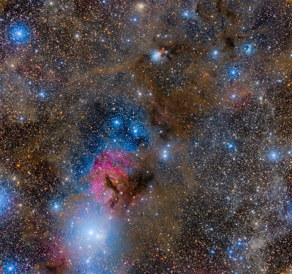 NGC 1333 thuộc loại tinh vân phản xạ, tức những đám mây khí và bụi được chiếu sáng bởi ánh sáng mạnh mẽ phát ra từ các ngôi sao mới sinh, một số trong đó thường xuyên phun ra các luồng vật chất. Ảnh: telescope.live.