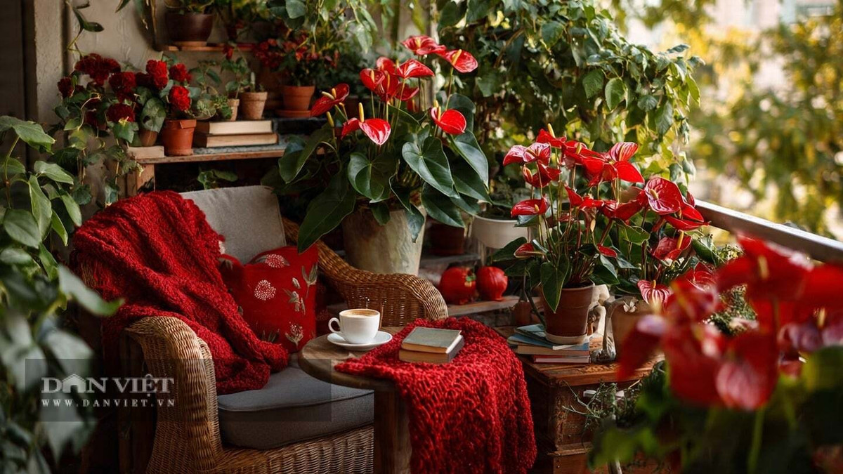 3. Hồng môn: Hồng môn mang vẻ đẹp sang trọng với cụm hoa đỏ như ngọn đuốc và tán lá xanh bóng. Mỗi đợt hoa có thể kéo dài đến 2–3 tháng, rất thích hợp để trang trí nhà cửa mùa lễ hội.