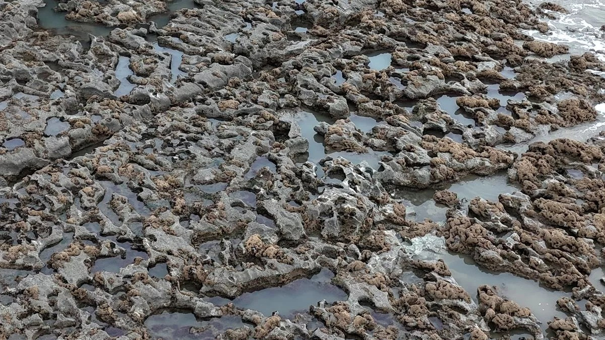 Tusker Rock, được biết đến như một "nghĩa địa tàu thuyền", chỉ cách Ogmore-by-Sea khoảng 3,2 km về phía Đông Nam. Vì vậy, một số người tin rằng rất có thể sóng biển đã cuốn trôi những đôi giày từ xác tàu đắm dạt vào bờ biển của thị trấn Ogmore-by-Sea. Tuy nhiên, đây vẫn chỉ là giả thuyết. Ảnh: media Wales.