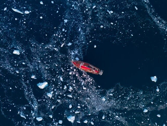 Báo cáo của NOAA chỉ ra 10 năm qua là giai đoạn ấm nhất từng được ghi nhận tại Bắc Cực. Kể từ năm 2006 đến nay, nhiệt độ trung bình hàng năm tại khu vực này tăng với tốc độ hơn gấp đôi mức tăng nhiệt độ trung bình toàn cầu. Ảnh: Guang Cao/Moment/Getty Images.