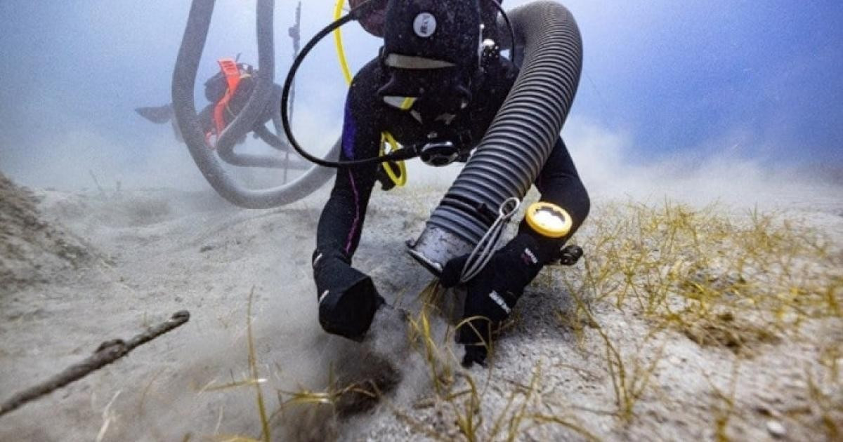 Một cuộc thám hiểm khảo cổ dưới nước gần đây ngoài khơi đảo Kythera của Hy Lạp đã có phát hiện quan trọng. Đó là việc các chuyên gia trục vớt được một mảnh đá cẩm thạch nhỏ dùng để trang trí và nó có thể đến từ đền Parthenon nổi tiếng thế giới. Ảnh: Greek Ministry of Culture.