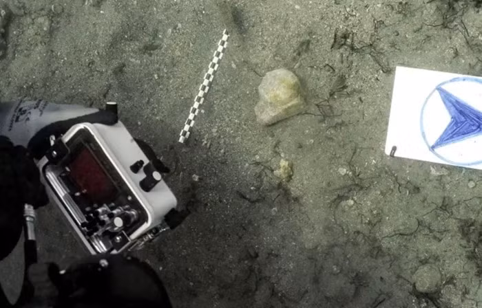 Lord Elgin, chủ sở hữu của con tàu Mentor, là đại sứ Anh tại Đế chế Ottoman lúc bấy giờ. Ông đã yêu cầu di dời những mảnh phù điêu quý giá từ đền Parthenon và nhiều cổ vật khác ra khỏi Hy Lạp với lý do "bảo tồn" chúng trước sự tàn phá của thời gian và xung đột. Ảnh: Greek Ministry of Culture.