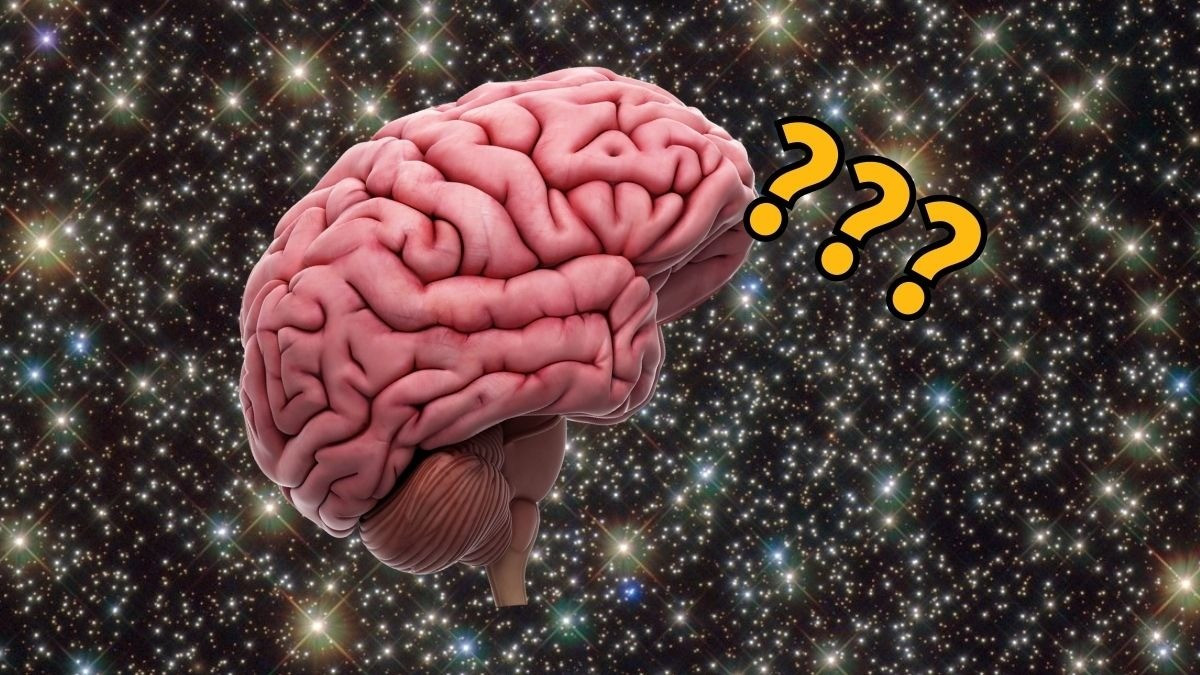 Trong nghiên cứu công bố trên tạp chí Proceedings of the National Academy of Sciences ngày 12/1, nhóm các nhà khoa học thông tin rằng, sau các chuyến bay vào vũ trụ, não của phi hành gia bị nghiêng và dịch chuyển lên trên và phía sau so với vị trí bình thường khi ở Trái đất. Ảnh: Brain: 3dMedisphere/Getty; Background: ESA/Hubble &amp; NASA.