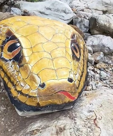 Hóa ra, đây thực chất là một khối đá khổng lồ được sơn vẽ hình đầu trăn. (Ảnh: Sohu)