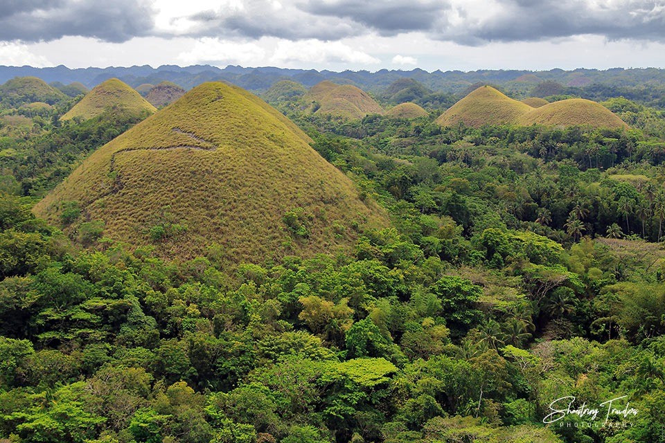 Trải qua thời gian, những cao nguyên đá vôi nổi lên từ mặt biển, thông qua các chuyển dịch địa chất của vỏ Trái đất. Hình dạng hình nón của những gò mà chúng ta thấy ngày nay là kết quả của quá trình xói mòn liên tục trong hàng triệu năm. Ảnh: shoestringdiary.wordpress.com.