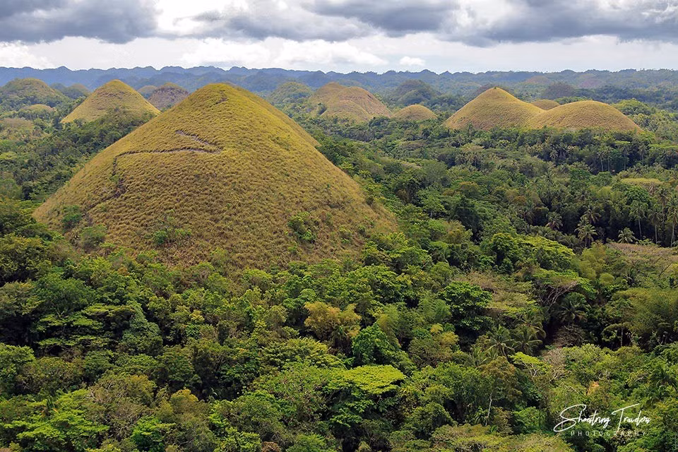 Trải qua thời gian, những cao nguyên đá vôi nổi lên từ mặt biển, thông qua các chuyển dịch địa chất của vỏ Trái đất. Hình dạng hình nón của những gò mà chúng ta thấy ngày nay là kết quả của quá trình xói mòn liên tục trong hàng triệu năm. Ảnh: shoestringdiary.wordpress.com.