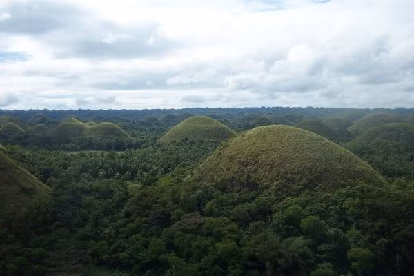 Cảnh quan tại đồi Chocolate xanh tươi vào mùa mưa (từ tháng 2 - 5). Khi sang mùa khô, cỏ tại các gò hình nón ở đồi Chocolate chuyển sang màu nâu sẫm. Màu sắc này kết hợp với hình dáng độc đáo của chúng khiến nhiều người liên tưởng đến những viên chocolate khổng lồ. Ảnh: worldheritagesite.org.