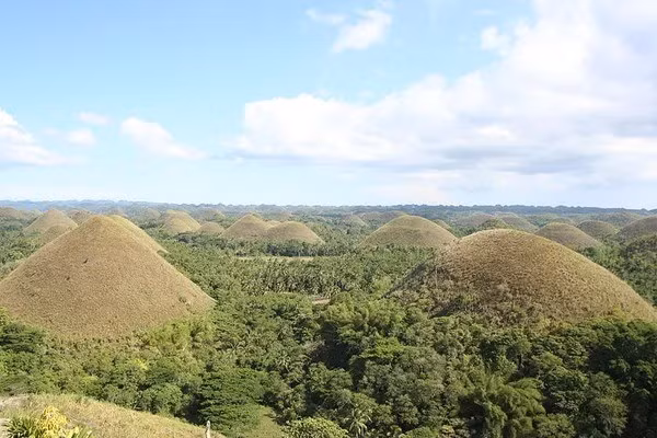 Đồi Chocolate được công nhận là di tích địa chất cấp quốc gia của Philippines vào năm 1988. Nơi đây được bảo vệ như một di tích tự nhiên vào năm 1997. Ảnh: MayaSeeMayaDo / Atlas Obscura User.