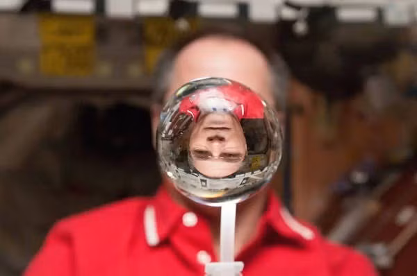 Đây sẽ là những loại cây có thể hái và ăn ngay, được trồng và chế biến trong không gian cũng như cung cấp sự cân bằng tối ưu các axit amin thiết yếu. Chúng cũng bao gồm các axit amin không thiết yếu thường có trong động vật như taurine và creatine. Ảnh: NASA.