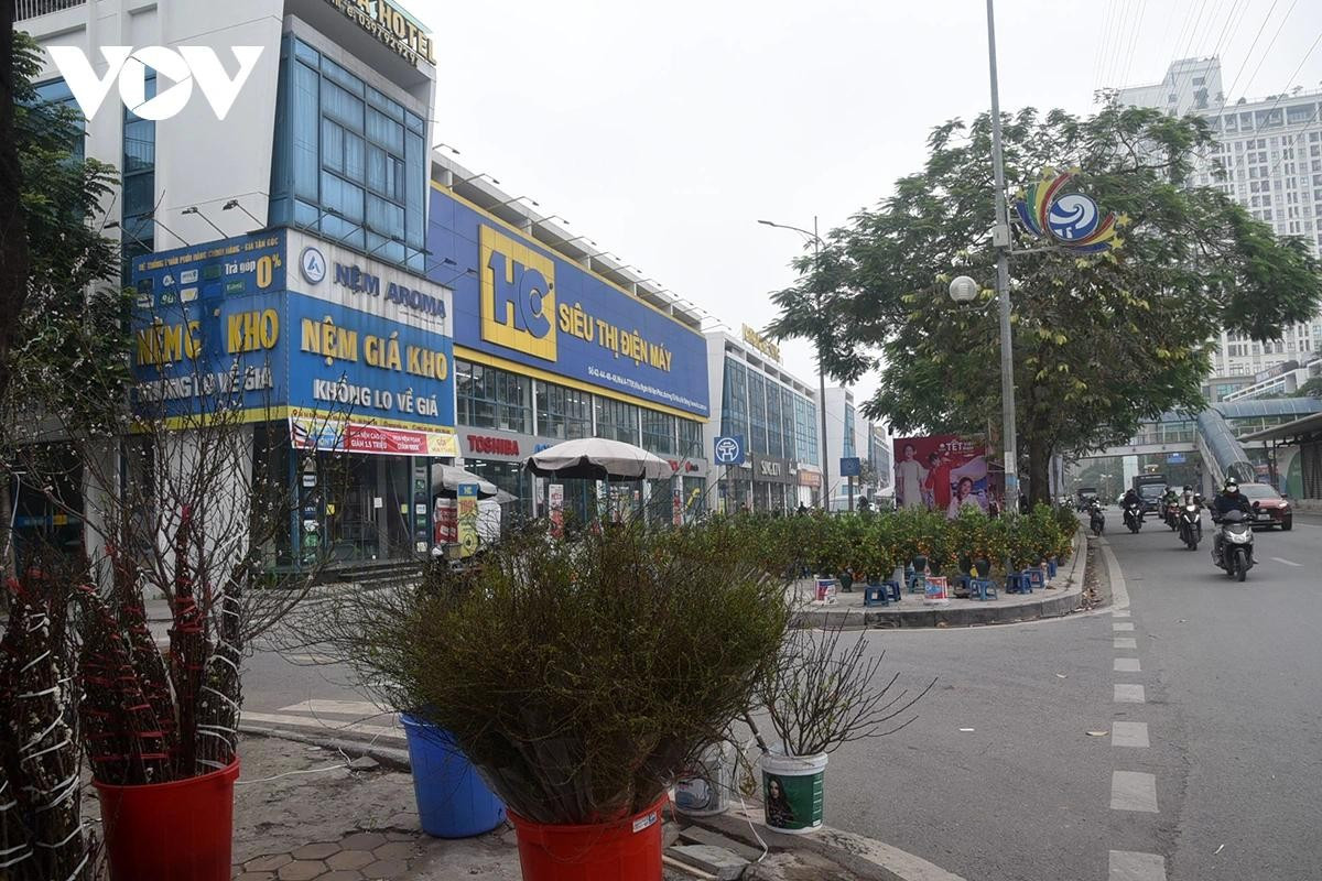 Đào, quất được kê sát mép đường, xen lẫn dòng phương tiện qua lại, gây cản trở giao thông trong giờ cao điểm.