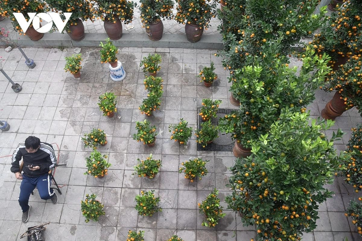 Xếp la liệt trên vỉa hè.