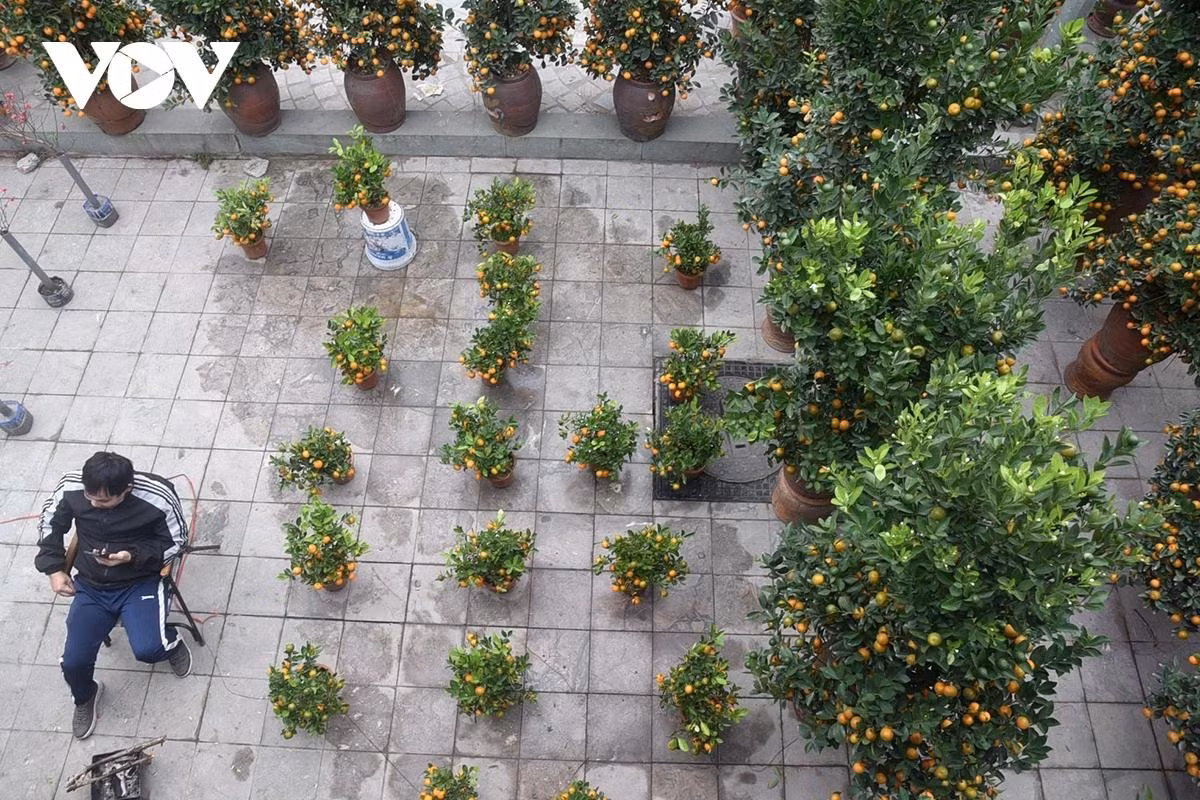 Xếp la liệt trên vỉa hè.