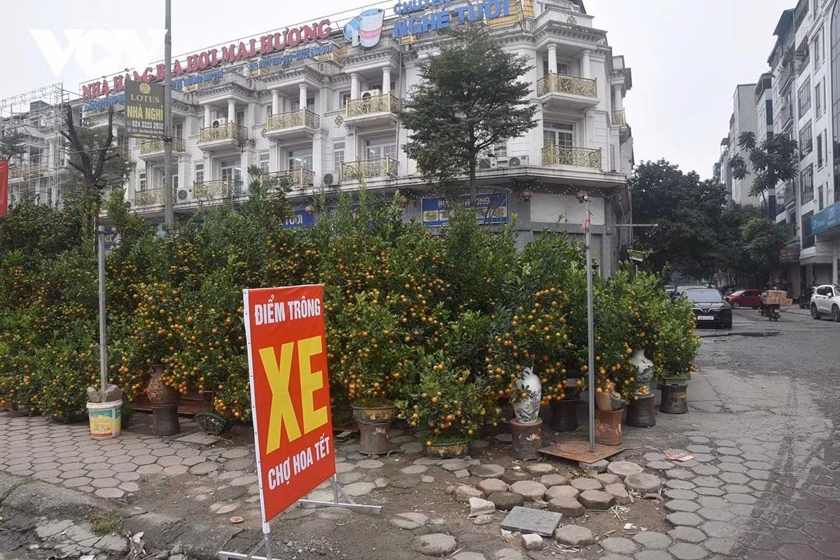 Xuất hiện các điểm trông giữ xe, cho thuê vỉa hè tại điểm bán hoa tự phát.