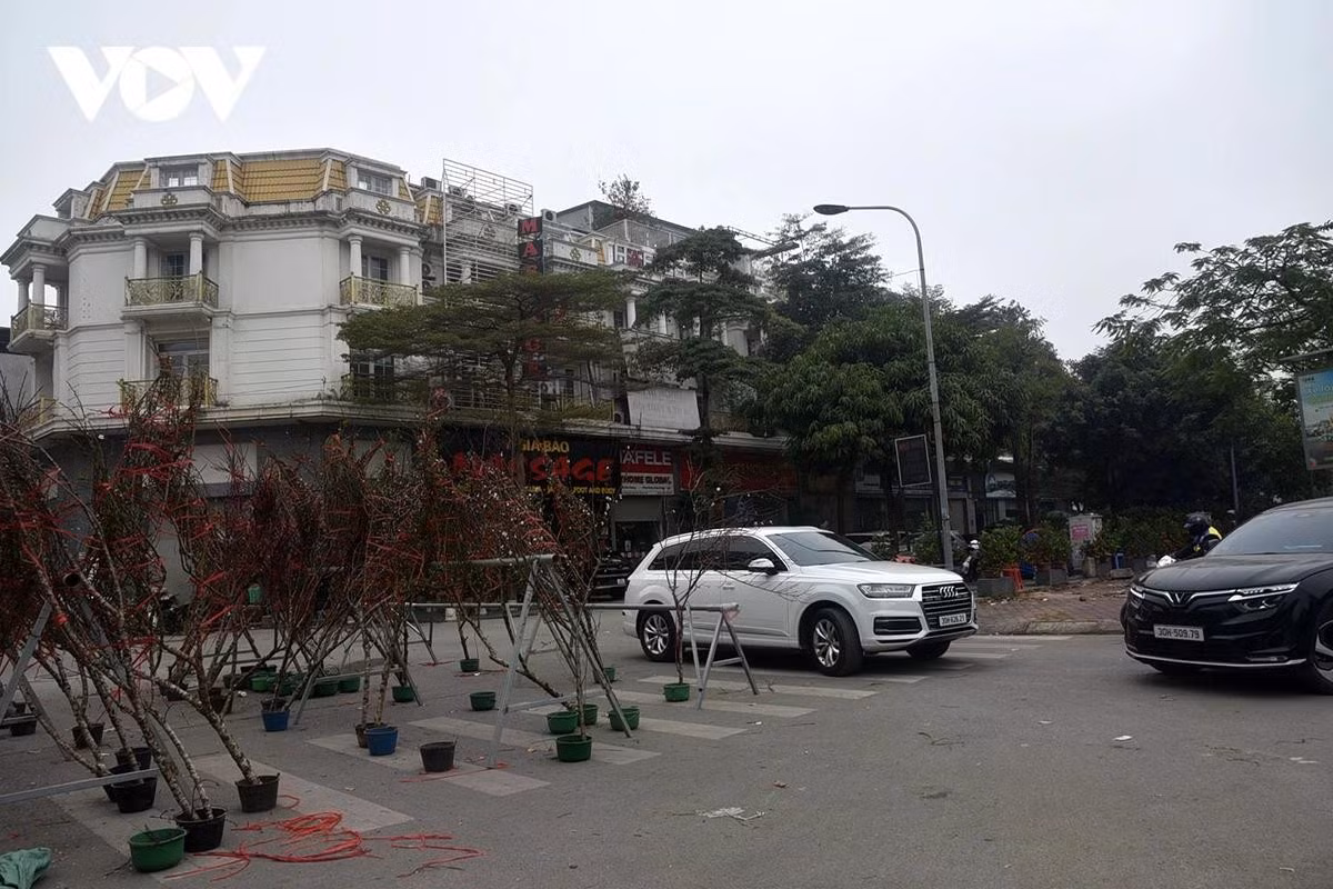 Không chỉ vè hè lòng đường cũng bị chiếm dụng để bày bán cây cảnh, tiềm ẩn nguy cơ mất an toàn giao thông.