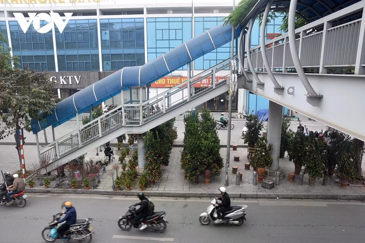 Đào, quất bày bán dưới chân cầu dành cho người đi bộ.