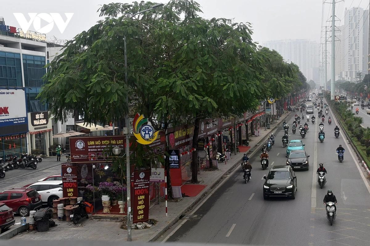 Hai bên đường Tố Hữu khu vực Vạn Phúc, Hà Đông ngập các cửa hàng hoa.