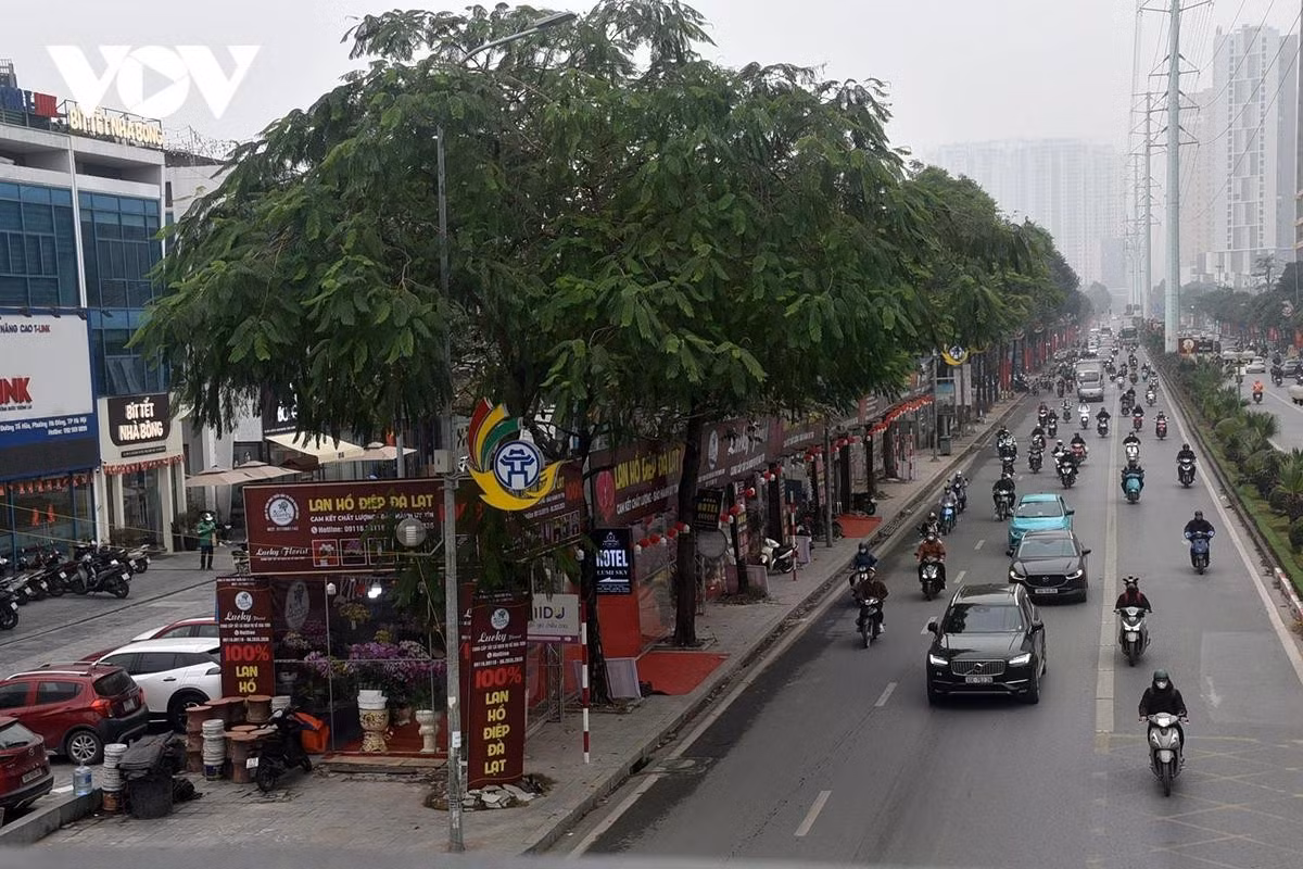 Hai bên đường Tố Hữu khu vực Vạn Phúc, Hà Đông ngập các cửa hàng hoa.