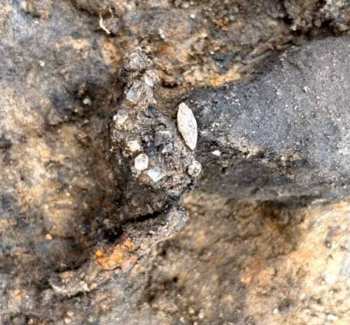 Phong cách chôn cất, đồ gốm và tiền cổ cho thấy bức tượng bán thân được tìm thấy trong mộ cổ có niên đại vào khoảng giữa thế 1 - 3. Ảnh: Inrap.