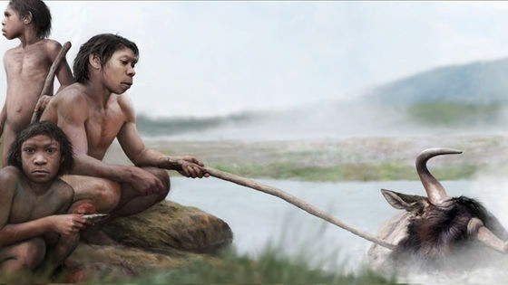 Cá thể mắc ung thư trong hang Swartkrans chưa được xác định tuổi nhưng dường như ở độ tuổi trưởng thành. Ảnh: gigazine.net.