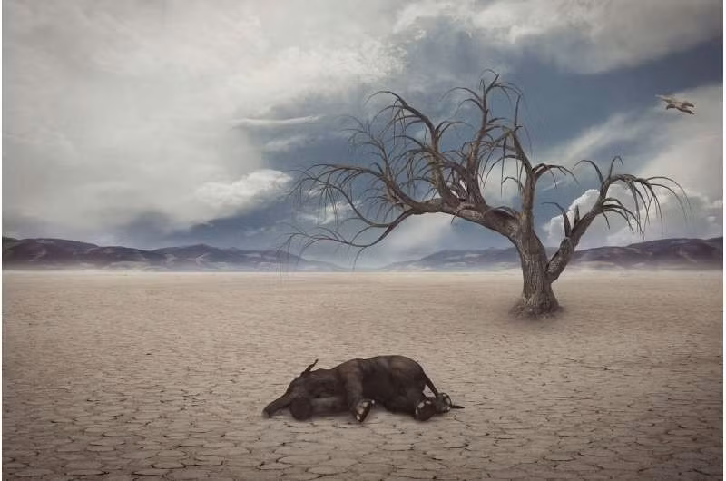 Theo nhóm nghiên cứu, con người đã tác động đến đa dạng sinh học từ 130.000 năm trước, với sự biến mất của voi ma mút và loài lười khổng lồ. Tình trạng tuyệt chủng vẫn tiếp tục tăng nhanh sau khi loài người phân bố khắp thế giới. Trong thời hiện đại, hổ Tasmania, chim dodo và bò biển Steller chỉ là một vài ví dụ tiêu biểu về các loài đã biến mất do hoạt động của con người. Ảnh: CC0 Public Domain.