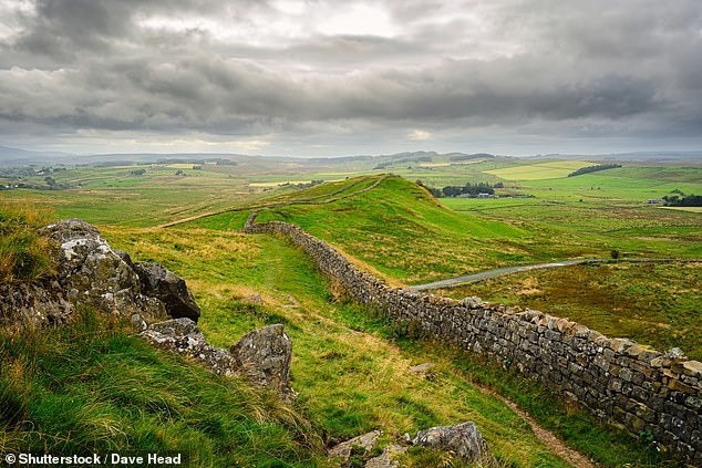 Theo Tiến sĩ Ledger, mặc dù người La Mã đã biết về ký sinh trùng đường ruột nhưng các thầy thuốc khi ấy hầu như không thể làm gì để loại bỏ chúng hoặc giúp đỡ những người bị tiêu chảy cải thiện sức khỏe. Ảnh: Shutterstock/Dave Head.