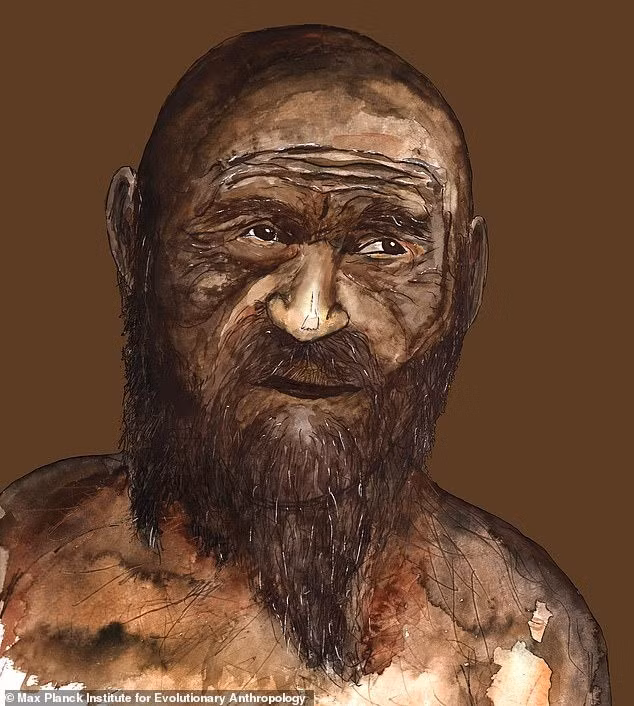 Nhóm nghiên cứu giải thích dữ liệu nhiễm sắc thể Y giúp theo dõi dòng dõi bên cha, cho thấy hầu hết nam giới được kiểm tra ADN đều có chung tổ tiên với những người được tìm thấy ở Đức và Pháp thời tiền sử. Ngược lại, Otzi có dòng dõi bên cha khác biệt và phổ biến hơn. Ảnh: Max Planck Institute for Evolutionary Anthropogy.