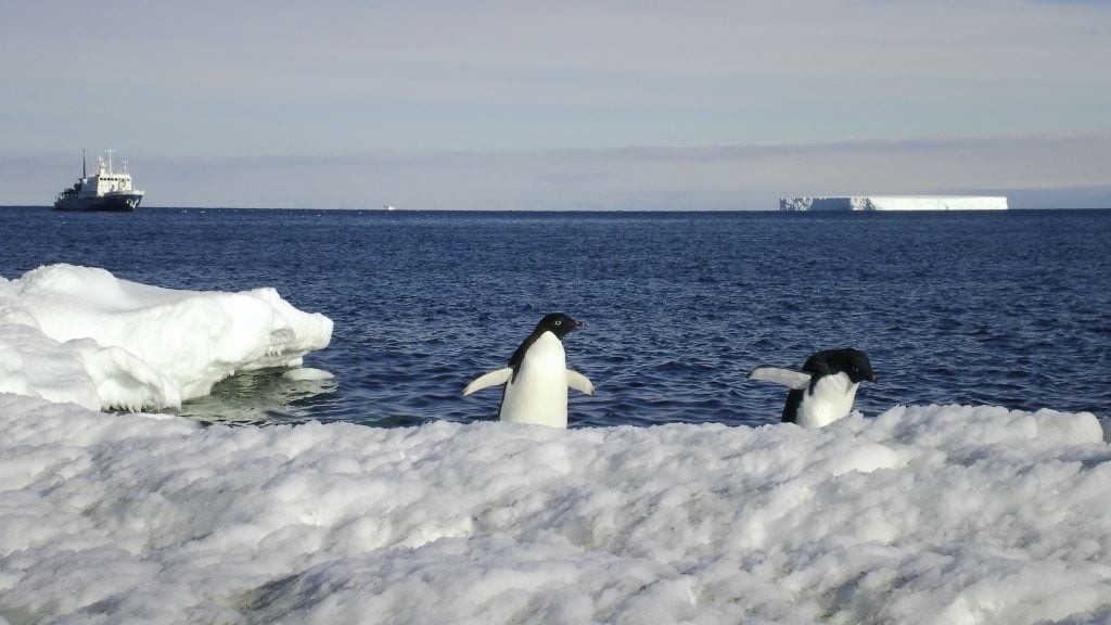 Nếu toàn bộ băng ở Nam Cực tan chảy, mực nước biển toàn cầu sẽ dâng khoảng 60m, đủ để nhấn chìm nhiều thành phố, làng mạc ven biển trên thế giới. Ảnh: waterproof-expeditions.com.