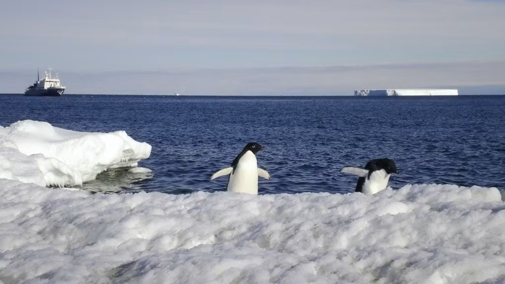 Nếu toàn bộ băng ở Nam Cực tan chảy, mực nước biển toàn cầu sẽ dâng khoảng 60m, đủ để nhấn chìm nhiều thành phố, làng mạc ven biển trên thế giới. Ảnh: waterproof-expeditions.com.