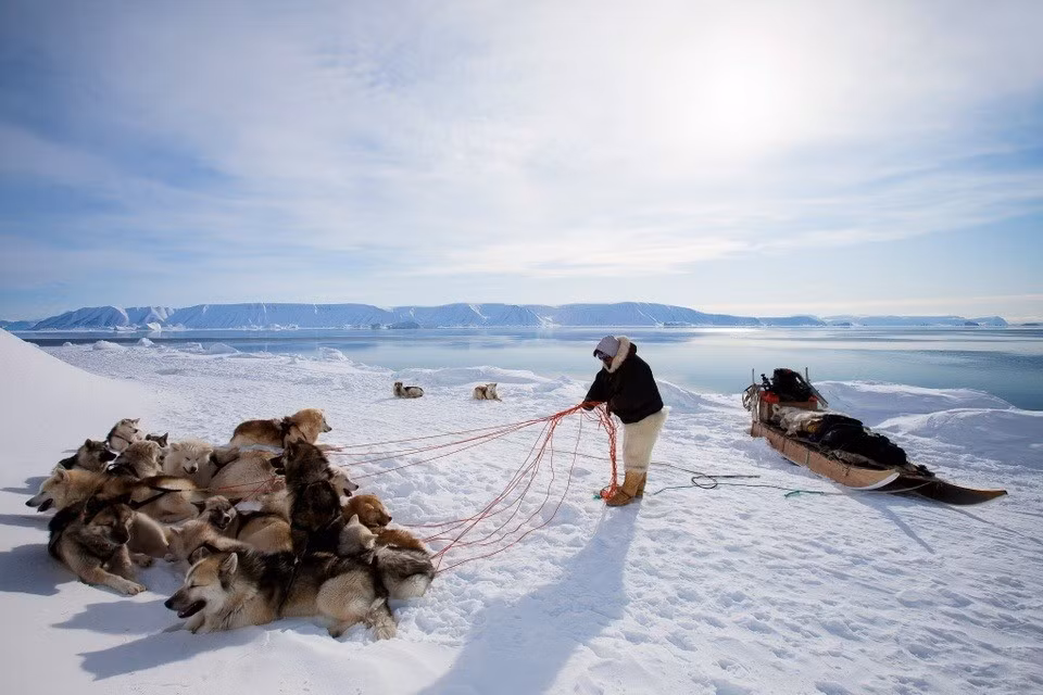 Tại Greenland - vùng đất từng được xem là "vùng trắng" trên bản đồ thế giới, người Inuit đã sống cùng băng trong hàng thế kỷ. Đối với họ, biển băng không chỉ là mặt phẳng để di chuyển mà còn là nền móng sinh kế và trụ cột văn hóa. Ảnh: Justin Lewis.