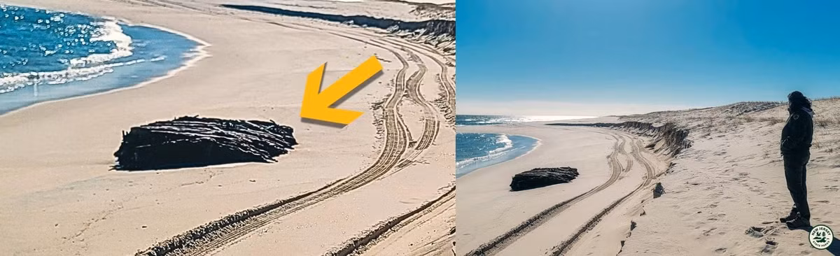 Công chúng được yêu cầu không làm xáo trộn khu vực có xác tàu Lawrence N. McKenzie. Việc lấy đi dù chỉ một khúc gỗ cũng có thể ảnh hưởng đến tính toàn vẹn cấu trúc của phần còn lại của xác tàu và cũng là hành vi bất hợp pháp theo luật tiểu bang và liên bang nhằm bảo vệ các xác tàu lịch sử. Ảnh: Island Beach State Park/Facebook.