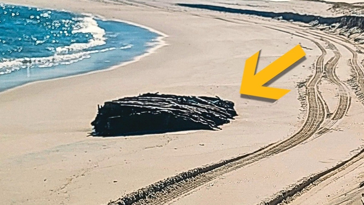 Trước đó, trong hơn 100 năm, xác tàu Lawrence N. McKenzie vẫn "ngủ yên" bên dưới những cồn cát.