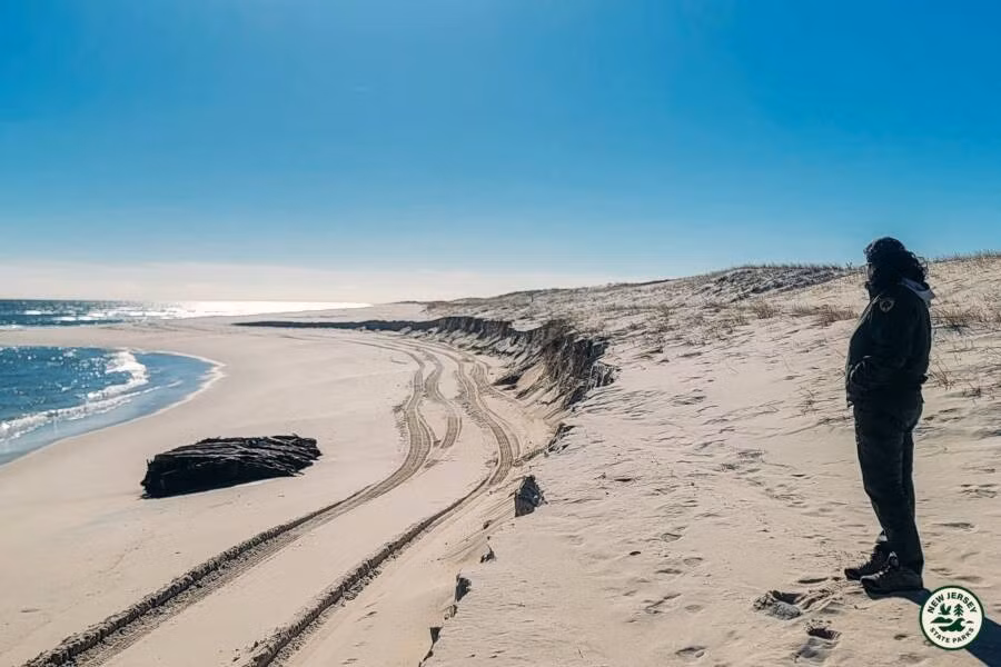 Hiện tượng xói mòn bờ biển tại Island Beach State Park, bang New Jersey (Mỹ) vừa làm lộ diện xác tàu đắm thế kỷ 19 mang tên Lawrence N. McKenzie. Con tàu này bị chìm vào ngày 21/3/1890 khi đang trong chuyến hành trình từ Puerto Rico đến New York. Con tàu gặp tai nạn thảm khốc khi xảy ra cơn bão dữ dội.