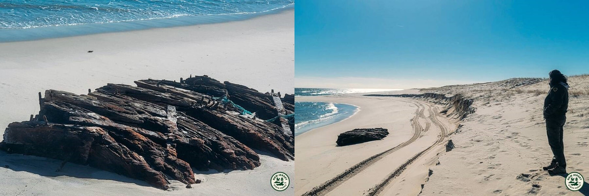 Bởi vì gỗ, do bị ngâm trong nước mặn và cát quá lâu, rất dễ vỡ và có thể nhanh chóng bị phân hủy khi tiếp xúc với không khí và ánh sáng mặt trời.