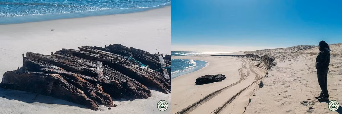 Bởi vì gỗ, do bị ngâm trong nước mặn và cát quá lâu, rất dễ vỡ và có thể nhanh chóng bị phân hủy khi tiếp xúc với không khí và ánh sáng mặt trời.