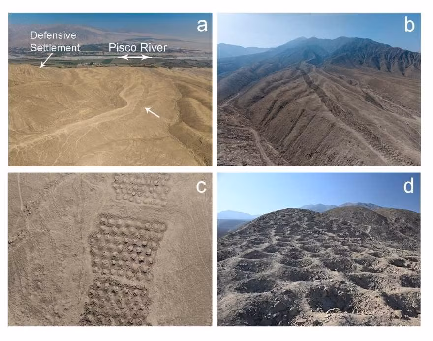 Trong nghiên cứu mới công bố, các chuyên gia đã phân tích tàn tích của các loài thực vật trong đá và trầm tích từ một số hố. Kết quả phân tích cho thấy phấn hoa từ các loại cây trồng, bao gồm ngô, bên trong các lỗ, cho thấy những cây này đã được đặt vào trong các lỗ. Ảnh: J.L. Bongers/C. Stanish.