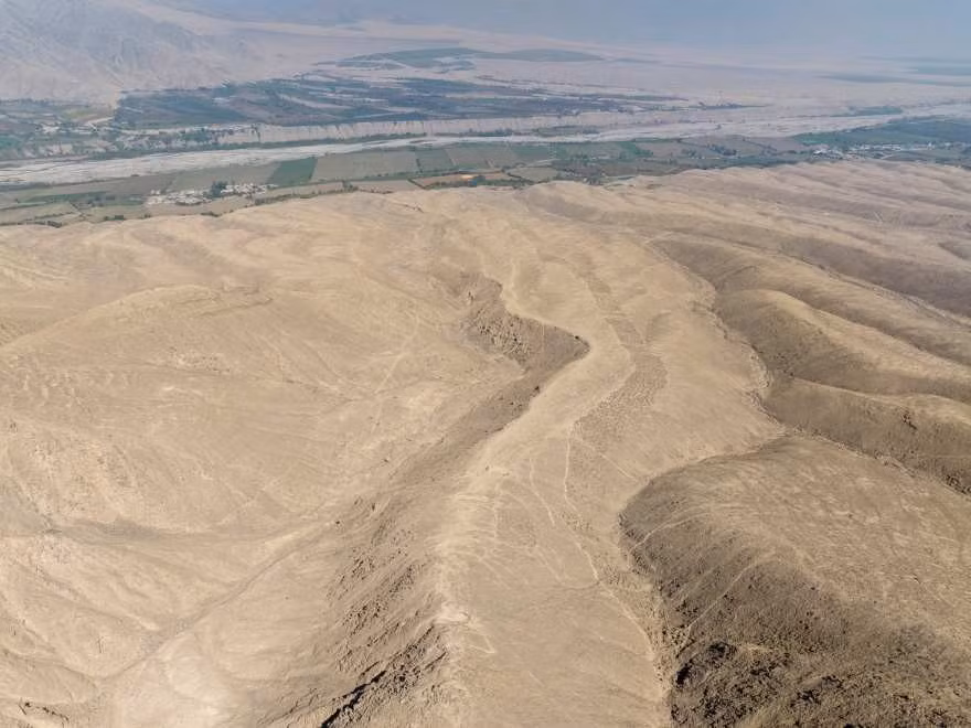 Từ đây, nhóm nghiên cứu suy đoán người người đã mang nó đến Monte Sierpe một cách có chủ ý. Ngoài ra, họ cũng tìm thấy tàn tích của phấn hoa cỏ tranh. Người dân ở Vương quốc Chincha sử dụng cỏ tranh tranh để làm giỏ đan để đựng hoặc vận chuyển hàng hóa. Ảnh: Jacob Bongers.