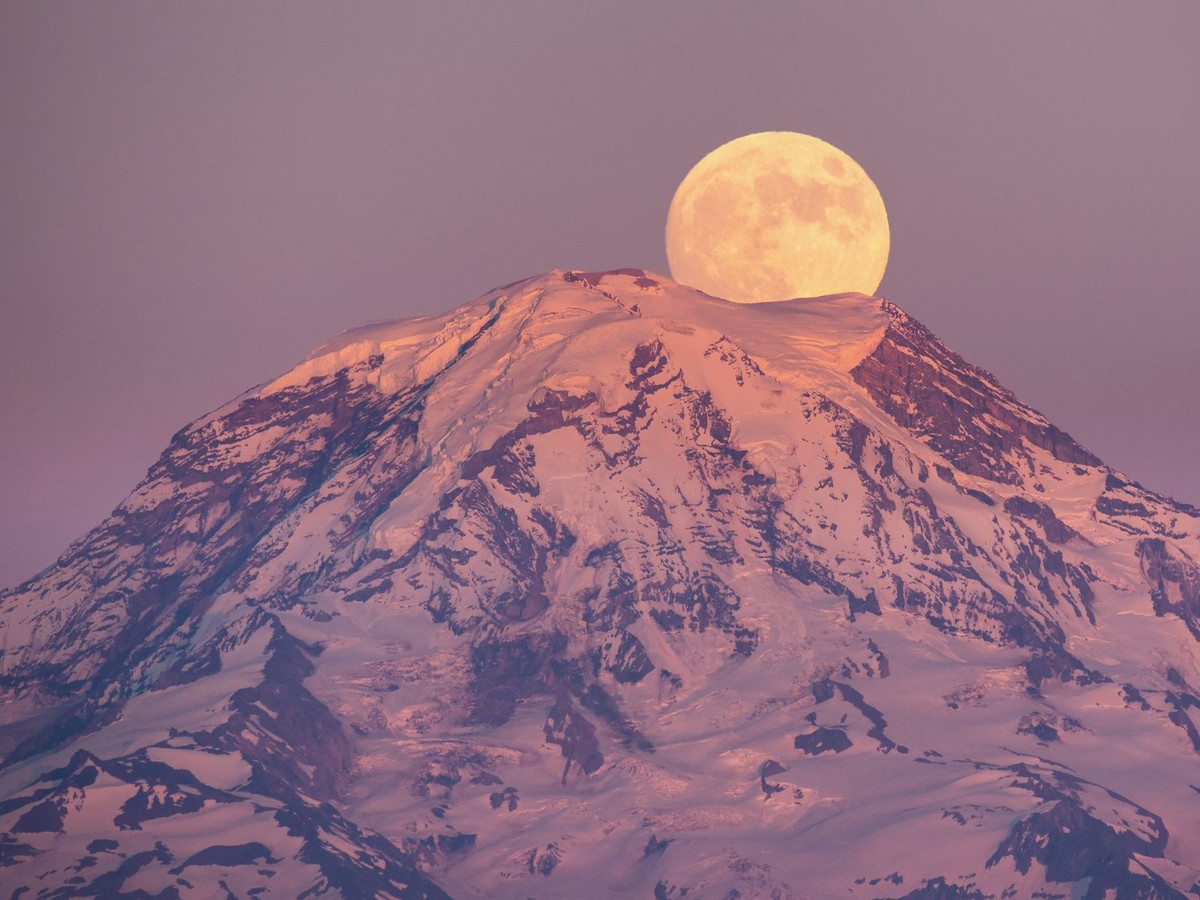 Sau khi Mặt trăng xuất hiện tròn đầy vào ngày 1/2, Mặt trăng sẽ di chuyển ngang qua Regulus - ngôi sao sáng nhất trong chòm sao Sư Tử. Theo đó, ngôi sao Regulus tạm thời biến mất khỏi bầu trời đêm 2/2. Ảnh: Getty Images.