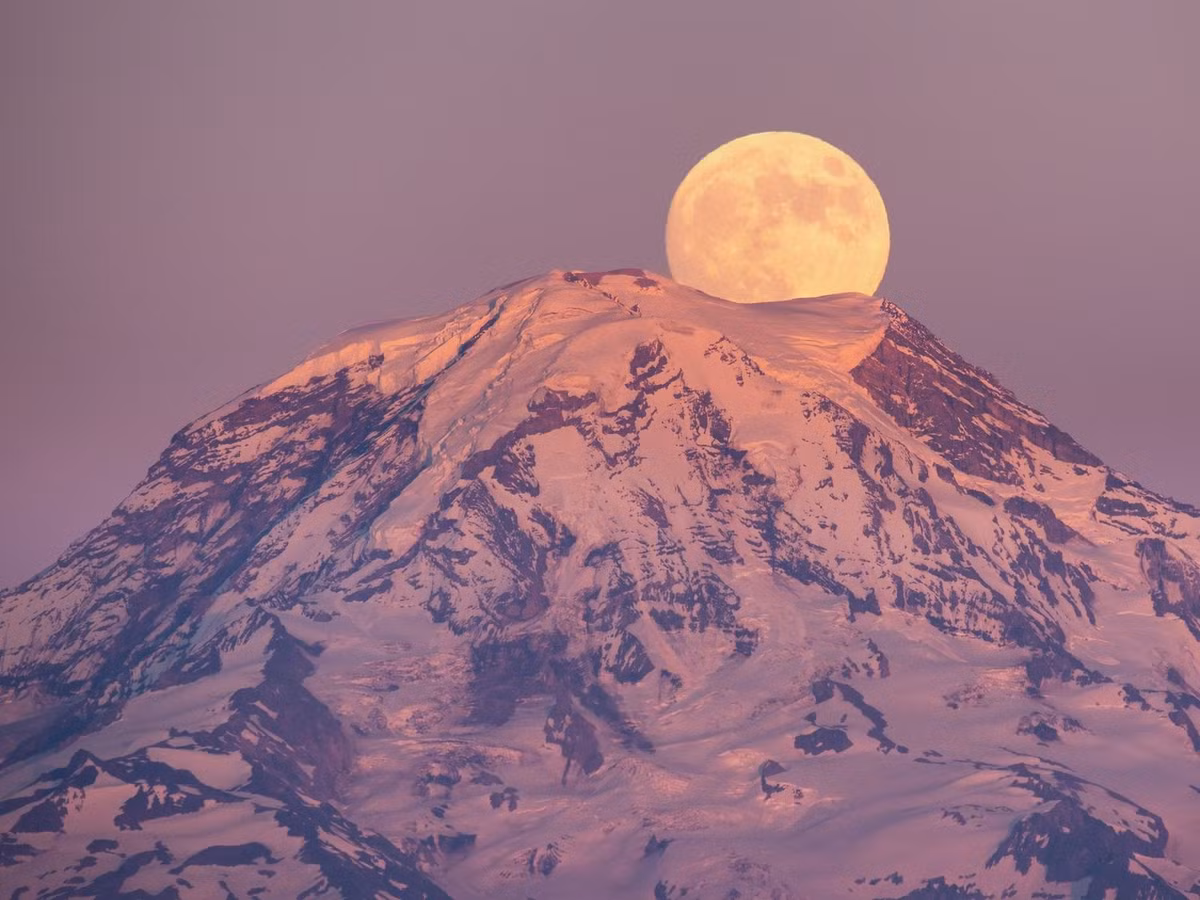 Sau khi Mặt trăng xuất hiện tròn đầy vào ngày 1/2, Mặt trăng sẽ di chuyển ngang qua Regulus - ngôi sao sáng nhất trong chòm sao Sư Tử. Theo đó, ngôi sao Regulus tạm thời biến mất khỏi bầu trời đêm 2/2. Ảnh: Getty Images.