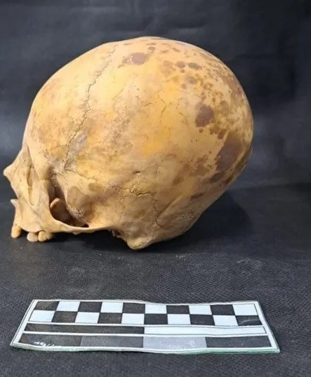 Các công nhân tình cờ phát hiện hộp sọ kéo dài bất thường của một đứa trẻ khi lắp đặt đường ống nước ở thị trấn San Fernando del Valle de Catamarca, Argentina. Theo các chuyên gia, đứa trẻ khoảng 3 - 4 tuổi được chôn cất cách đây ít nhất 700 năm. Ảnh: Provincial Directorate of Anthropology / Catamarca Ministry of Culture, Tourism and Sports.