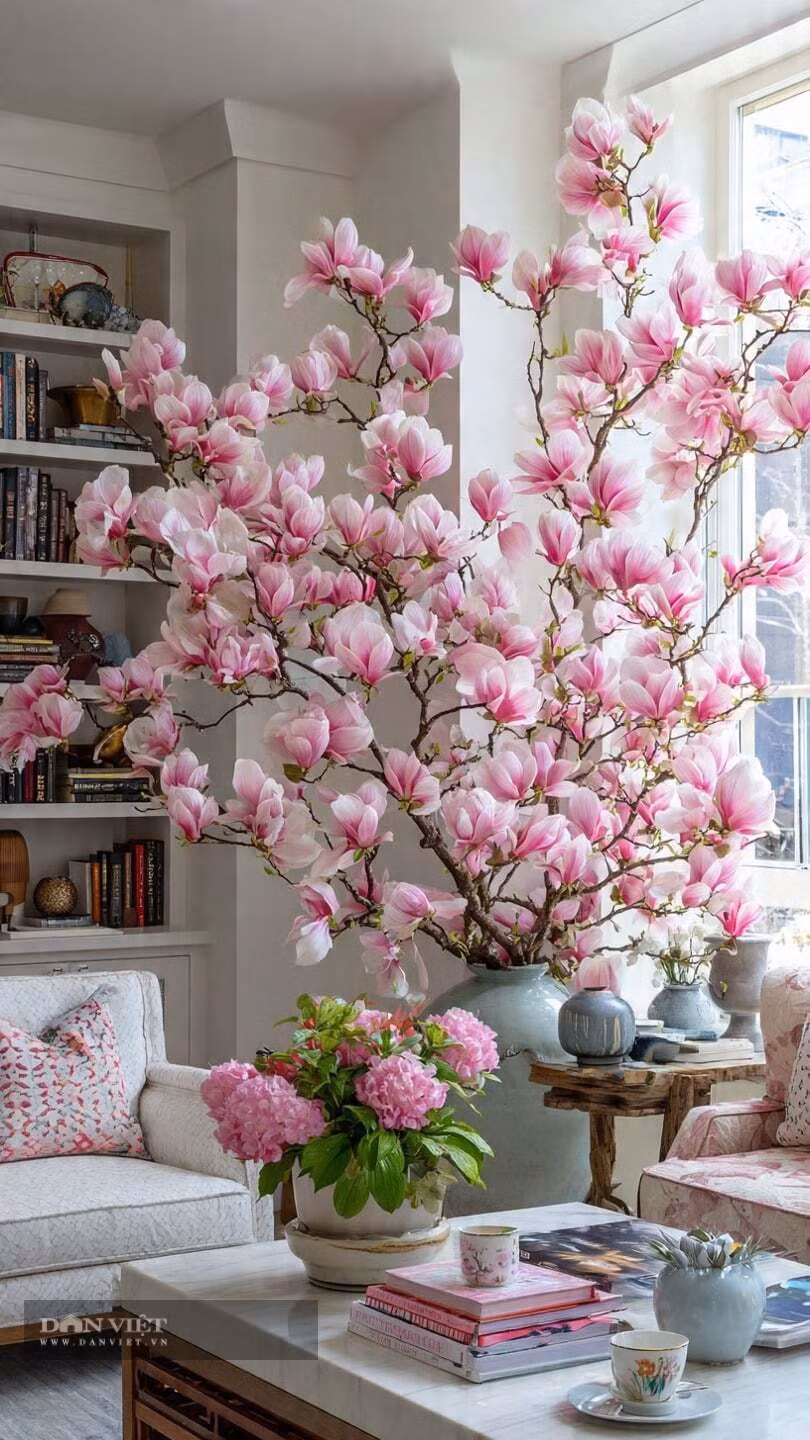 Có nên trồng mộc lan trong nhà?: Dù đẹp, mộc lan là cây thân gỗ lớn, rễ phát triển mạnh. Trồng sát nhà có thể ảnh hưởng móng và ánh sáng, vì vậy nên trồng sân vườn rộng hoặc ban công thoáng.