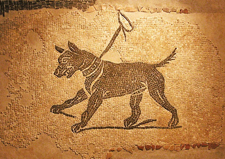 Việc tìm thấy xương chó bị xẻ thịt tại các địa điểm từng được người xưa dùng để tổ chức các bữa tiệc cộng đồng và trong các điểm đổ rác sinh hoạt cho thấy thịt chó đã được chế biến như một món ngon có thể ăn cùng nhiều người. Ảnh: weirditaly.com.