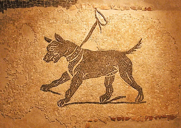 Việc tìm thấy xương chó bị xẻ thịt tại các địa điểm từng được người xưa dùng để tổ chức các bữa tiệc cộng đồng và trong các điểm đổ rác sinh hoạt cho thấy thịt chó đã được chế biến như một món ngon có thể ăn cùng nhiều người. Ảnh: weirditaly.com.