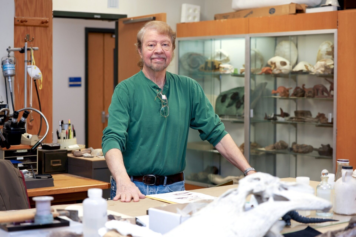 Các nhà khoa học cho hay Deinosuchus schwimmeri là động vật săn mồi cơ hội. Do kích thước cơ thể khổng lồ nên gần như mọi động vật trong môi trường sống đều có thể trở thành thức ăn của chúng. Ảnh: Columbus State University.